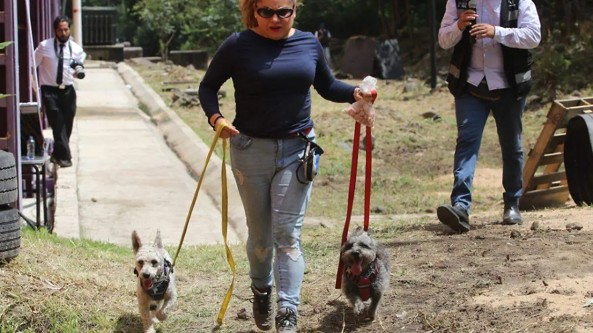 perritos graduados CORTESIA.3